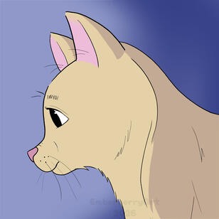 Fluffy Cat