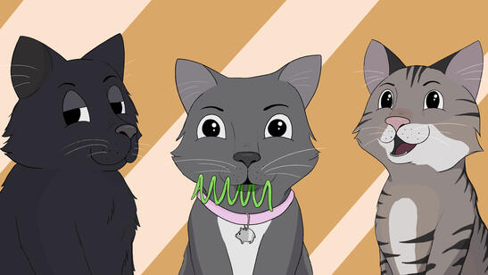 Groucho's Cats