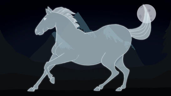 Ghost Horse