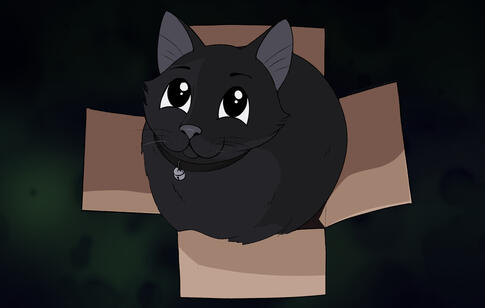Black Cat