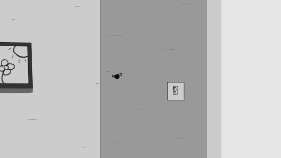 Fly